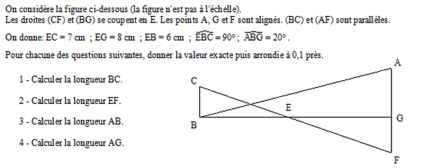 exercice sur Thalès et trigonométrie