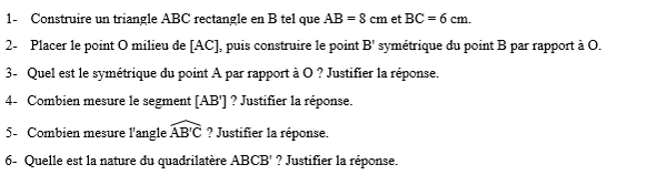 exercice sur Conservation des angles par symétrie centrale