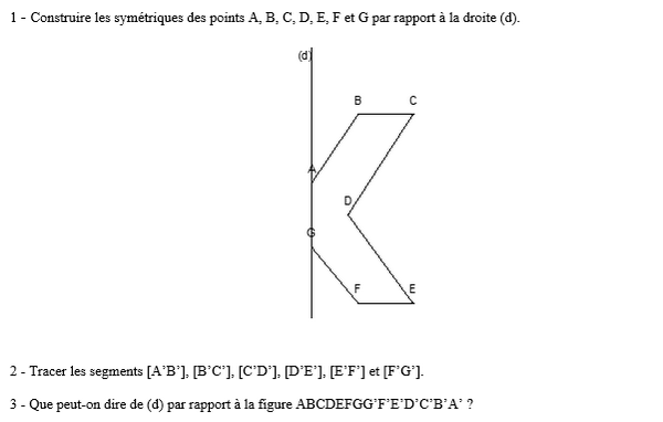 exercice sur Construire le symétrique d'une figure